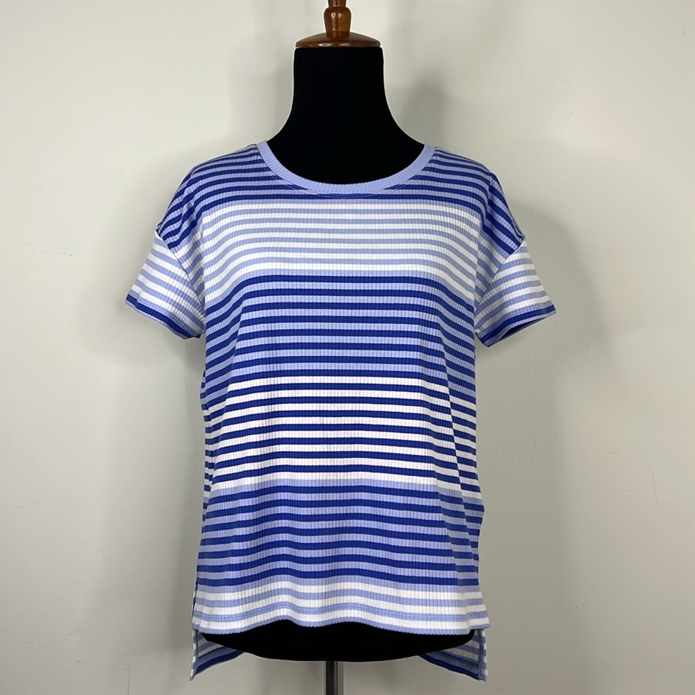 T by Talbots Blue and White Striped Top